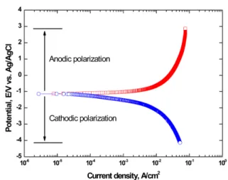 Fig. 3. Surface morphologies of Zn thermal sprayed coating layer after anodic polarization experiment in sea water.