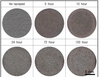 Fig. 2. Surface morphologies after cavitation experi- experi-ment of Inconel 625 thermal spray coating in sea water.