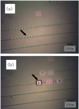 Table 2. Measured secondary ions and analytical conditions of dynamic SIMS (for O 2 +  primary ion beam)
