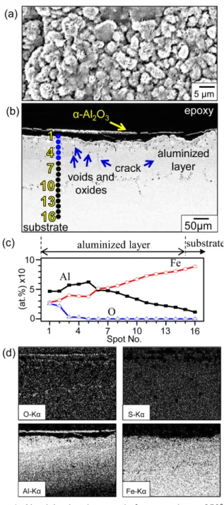 Figure 4 shows the SEM/EDS results of the aluminized carbon steel after corrosion at 850  o C for 50 h