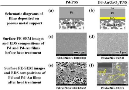 Fig. 2.  Thermal stability of Pd/PSS and Pd-Au/ZrO 2 /PNS hydrogen separation membranes after heat treatment at 450  o C for 1000 h: (a), (b) schematic diagrams of sputter deposited films, (c), (d) surface FE-SEM images and EDS composition before heat trea