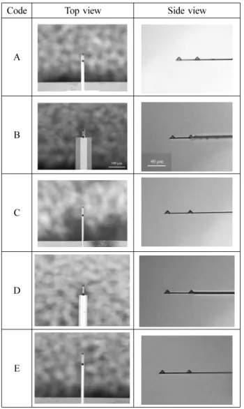 Fig. 4. Schematic diagram of the dual tip probe.