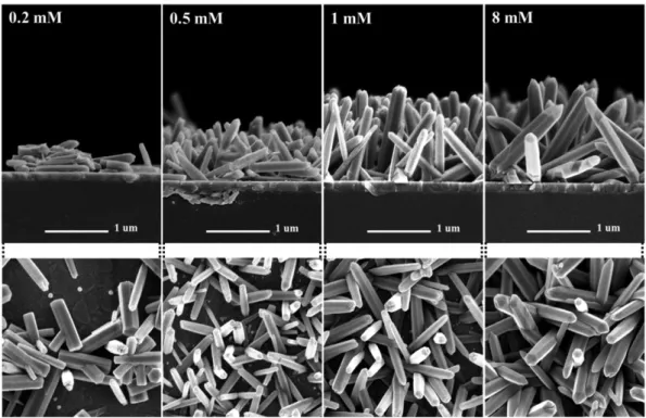Fig. 1.  SEM images of the ZnO nanorods at different precusour concentration: (a) 0.2 mM, (b) 0.5 mM, (c) 1 mM, and (d) 8 mM.