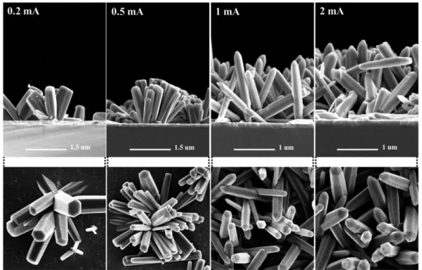 Fig. 5.  (A) XRD patterns of the ZnO nanorods at different current. (B) Texture coefficient of the ZnO nanorods at different current.