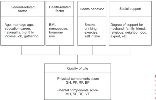 Fig. 1. Theoretical framework. BMI: 