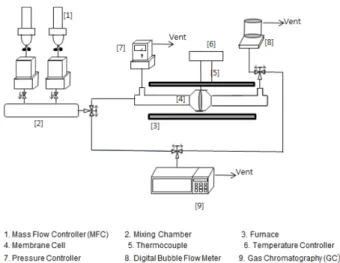 Fig. 3. The surface and cross-sectional FE-SEM photographs and AFM images of sputtered Pd films as a function of substrate temperature.