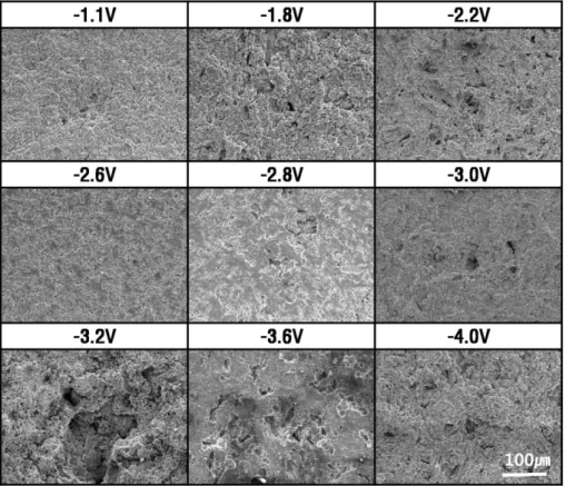 Fig. 7. Surface morphologies of the ALBC3 alloy after potentiostatic experiment at kinetic state in sea water