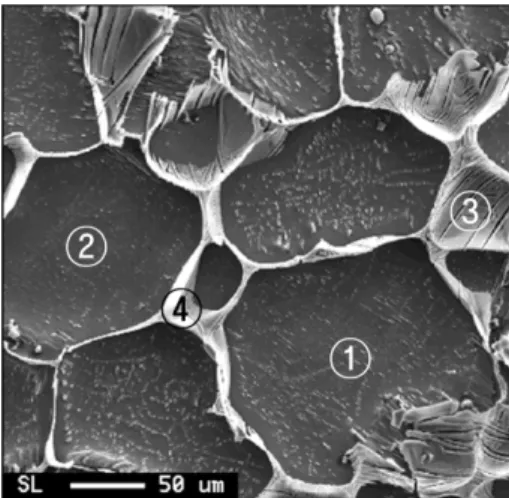 Fig. 10. AZ31+1.5%CaO after oxidation at 650 o C for 20 hr. (a) etched SEM cross-sectional image, (b) TEM cross-sectional image, (c) elemental maps of (b), (d) XRD pattern