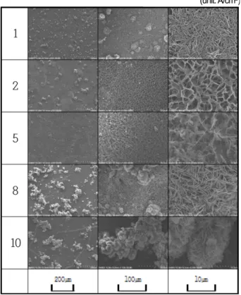 Fig. 10. Result of EDS analysis Mg, Ca and O of electro- electro-deposit films formed at different cathodic current densities in natural seawater (AZ31-Mg anode).
