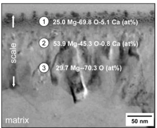 Fig. 9. Cross-sectional TEM image of AZ31 + 0.5%
