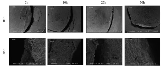 Fig. 9. SEM image of fracture surface of TRIP steel after small punch testing.