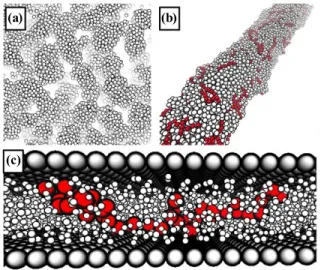 그림  4. (a) Configuration of the conductive nanoparticles in the  polymer nanocomposites