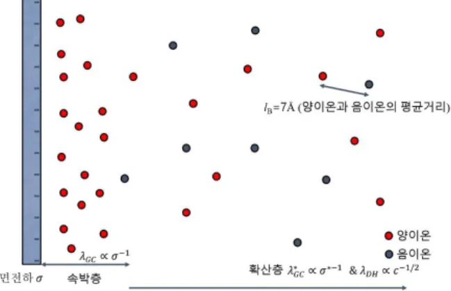 그림 1. 하전연성물질 주변의 이온층은 표면에 흡착되는 속박층과 전기장을  일관성있게(self-consistently) 감쇄시키는 확산층으로 구분할 수 있다