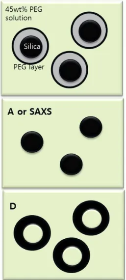 그림 4. Scheme of nanoparticles in PEG solution and concept of  scattering contrast.