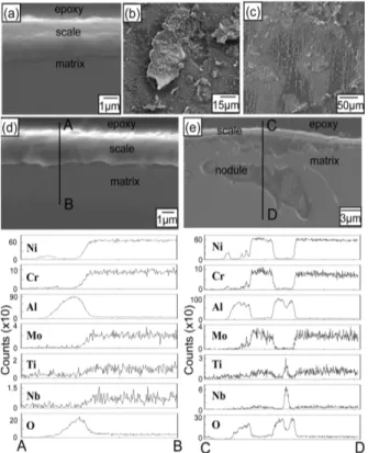 Fig. 6. Inconel 713 after oxidation at 1100 o C in air for 50 or 100 h. (a) SEM cross-sectional image (50 h), (b) SEM top view (50 h), (c) SEM top view (100 h), (d) EPMA cross-sectional image and line profiles of the uniform scale (100 h), (e) EPMA cross-s