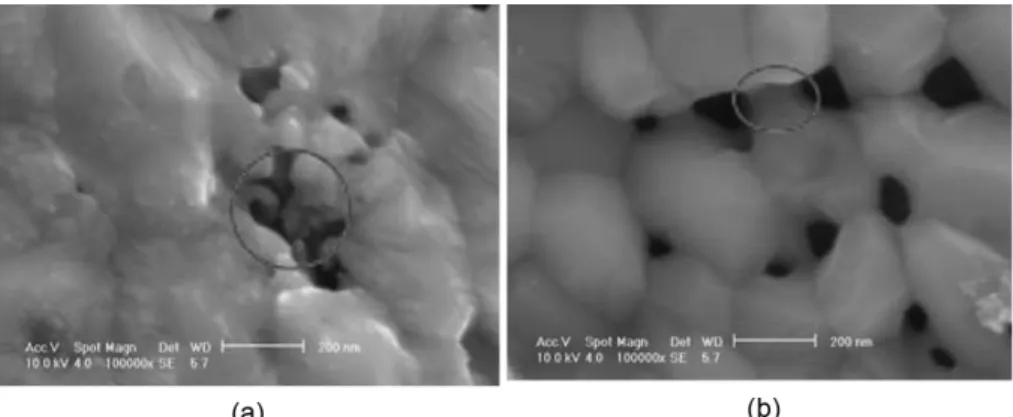 Fig. 6. SEM images of two different growth methods of iron-nitride (a) secondary nucleation and growth, (b) grain growth.