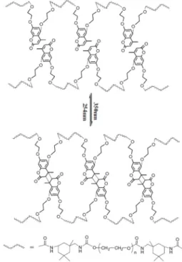 그림 9. Cinnamate 작용기가 도입된 고분자 네트워크의 적외선 스펙트럼. 