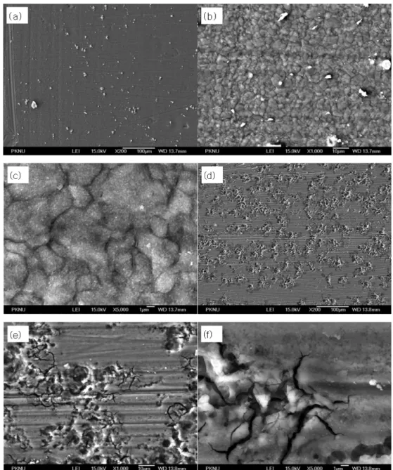 Table 3. Composition of conversion coating of AZ31 magnesium alloy by EDS analysis (wt.%)  Elements