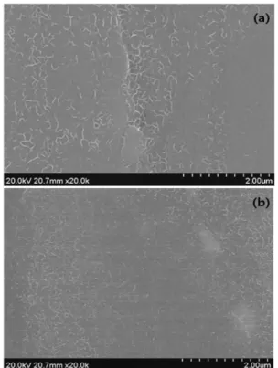 Table 2. Results from potentiodynamic polarization curves of AZ31B Mg alloys, whose films were formed in a bath containing 0.8 M NaOH at 70 o C after different pre-treatment