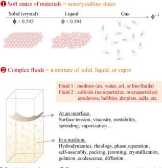 그림 1. Total annual number of publications and total annual number  of citations based on Web of Science database in the topics of (a)  X-ray imaging, (b) X-ray microscopy, (c) soft matter, and (d) soft materials.