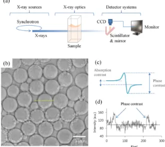 그림 3. Direct visualization of colloidal particles with X-ray microscopy.