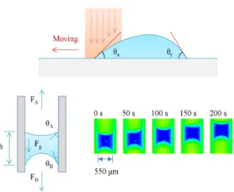그림 8. An illustration of colloids adsorbed at an oil–water interface. 