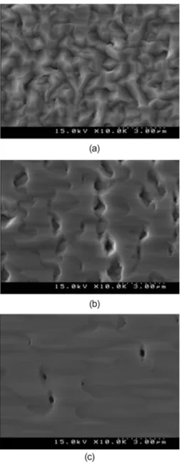 Fig. 11. SEM images of S1, S2 and S3 samples.