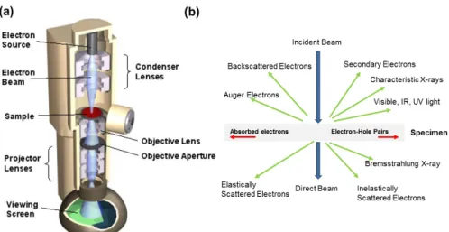 그림 4. (a) 투과전자현미경의 구조 모식도와 (b) 시료에 고속전자 입사에 따라 일어나는 탄성·비탄성 산란에 의한 전자파 또는 전자기파 발생. 10 그림 5