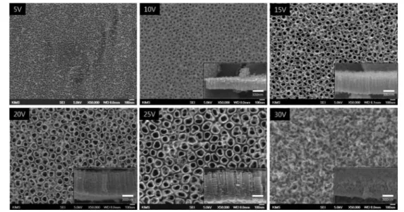 Fig. 7. FE-SEM images of the surface and cross section (inserts) of TiO 2  nanotubes formed for 120 min in 0.1 M NH 4 F + 2% H 2 O in ethylene glycol of various voltages of 20, 30, 40, 50, 60 and 70 V.