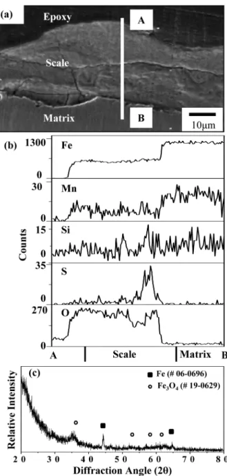Fig. 7. A106 Gr B after corrosion via the case 3 route.