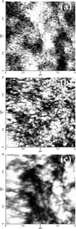 Fig. 4. AFM images of the PS samples fabricated with different current density (a) 0.5 mA/cm 2 , (b) 1 mA/