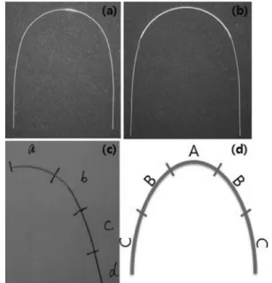 Fig. 1. The samples used in this study. (a) non-coated sample, (b) polymer coated sample, (c), (d) sample preparation.