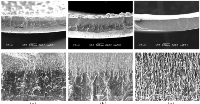 Fig. 7. SEM micrographs showing the fracture surface morphologies of Ni-P-Fe and Ni-P-B electrodeposits after tensile tests