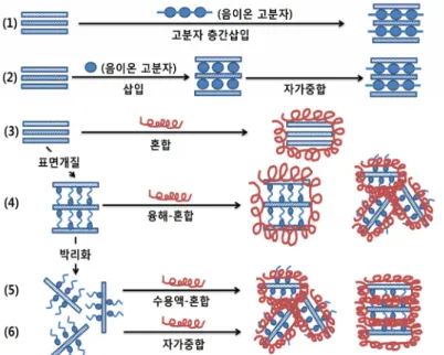 그림 2. 층상형 금속 수산화물을 중심으로 한 고분자 하이브리드 소재의 제조 방법: (1) 고분자 층간삽입법, (2) 단량체 층간삽입 및 자가 중합법, (3) 융해-혼합법, (4) 표면 개질 층상형 무기물질 혼합법, (5) 표면 개질된 층상형 금속 수산화물 수용액의 혼합법, 그리고 (6) 표면 개질 금속 수산화물과 단량체 자가 중합을 통한 하이브리드화