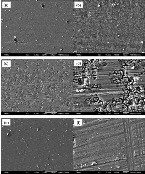 Fig. 2. Surface morphology of AZ31 magnesium alloys processed by acid pickling for 30s at the ambient temperature: