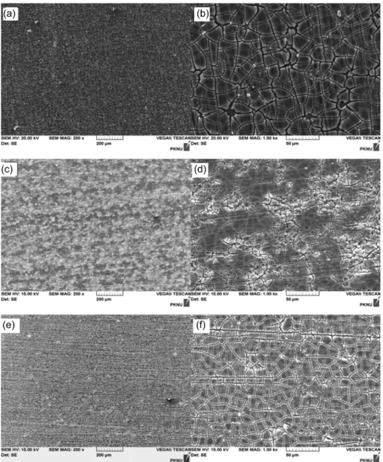 Fig. 4. SEM images of AZ31 magnesium alloys conversion coating: (a) 0.5 wt% oxalic acid,  × 200, (b) 0.5 wt% oxalic acid,  × 1,000 (c) 0.25 wt% hydrochloric acid + 0.25 wt% hydrofluoric acid,  × 200, (d) 0.25 wt% hydrochloric acid + 0.25 wt% hydrofluoric a