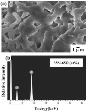 Fig. 7. SiC nanofibers after corrosion at 1100 o C at 60 h in Ar-1%SO 2  gas. (a) SEM image, (b) EDS spectrum