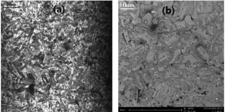 Fig. 7. (a) CSLM, (b) BSE images of as-cast surface obtained after etching for 8s at RT in 1 M NaOH solution.