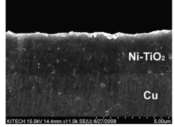 Fig. 1. SEM micrograph of cross-section of Ni-TiO 2 composite coating with TiO 2  content of 40 g/ l  in bath.