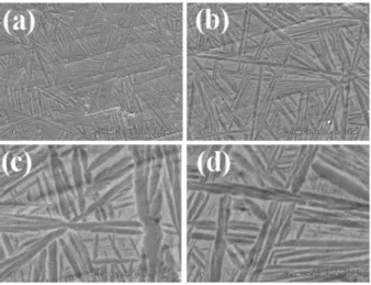 Fig. 11. FE-SEM micrographs showing surface morpho- morpho-logy of TiN coated Ti-30Ta-15Zr alloys