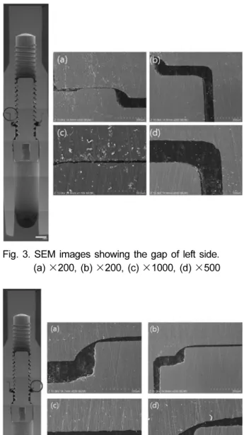 Fig. 2. Schematic diagram of the electrochemical corrosion test.