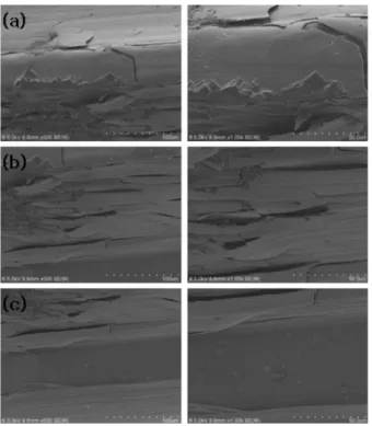 Fig. 9. FE-SEM micrographs showing the corrosion surface of TiN coated abutment screw after CPPT test in 0.9% NaCl solution at 36.5 ± 1 o C: