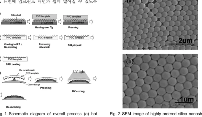 Fig. 1. Schematic diagram of overall process (a) hot