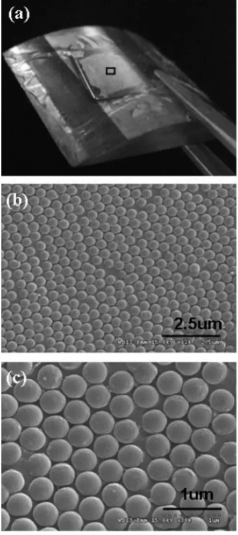Fig. 4. Photograph (a) and SEM image of imprinted pattern on curved substrate (b,c).