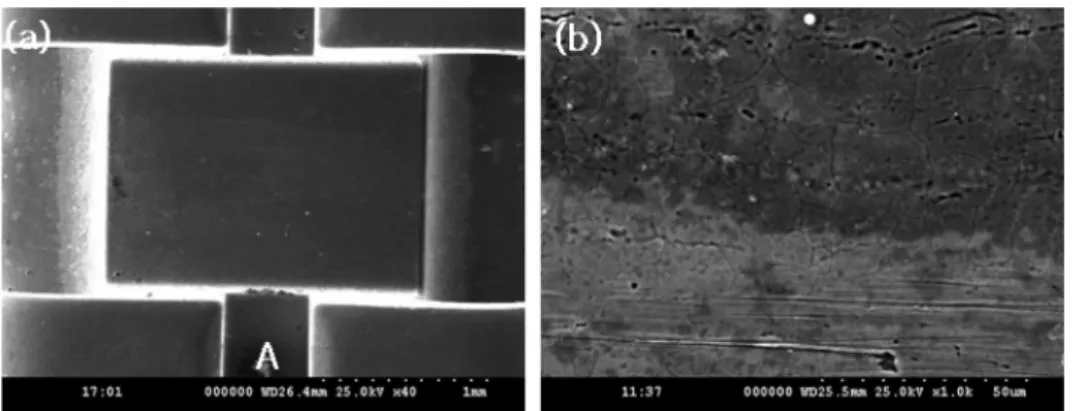 Fig. 1. The surface morphology of dental bracket observed by FE-SEM. (a) non-coated  bracket (b) slot surface at A point of photo (a).