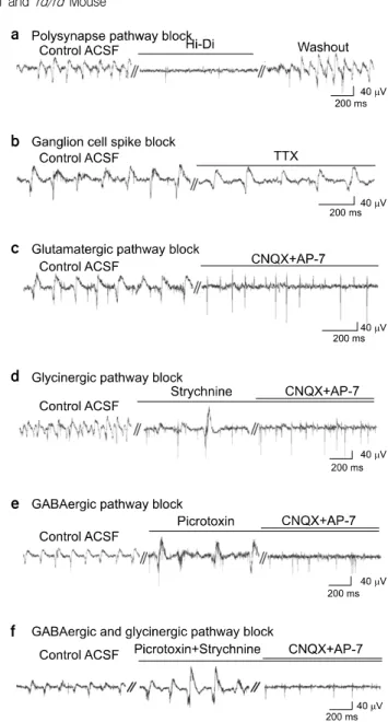 Fig.  4.  Effects  of  various  blockers.  (a)  Treatment  of  Hi-Di  ACSF  solution  completely  blocked  the  slow  wave  component  (n=4)