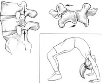 Fig. 5. The mechanism of repetitive extension and rotation in the gymnast.