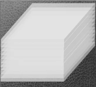 Fig.  4.  Illustration  of  the  simulation  model  on  the  gel  bolus  phantom.