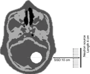 Fig.  1.  Schematic  of  Monte-Carlo  simulation.