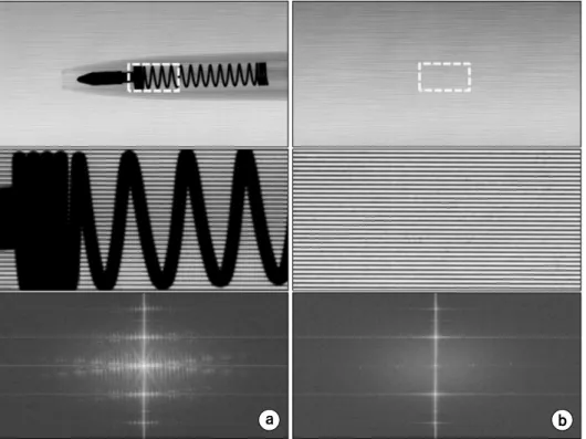 Fig.  6.  Some  selected  samples  used  in  the  PCXI  experiment:  (a)  a  ball-point  pen,  (b)  a  toothbrush,  (c)  a  small  pill  container,  and  (d)  an  acorn.
